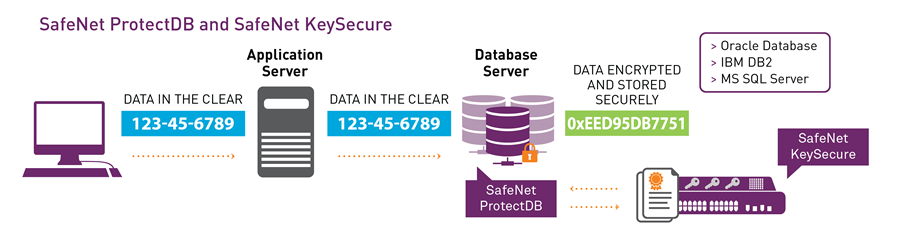 Data Protection – Blue Fortress