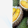 Blue Fortress activities: Indulging in Durian Delights.